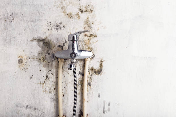 Best Mold Testing and Inspection Services in Midfield, AL